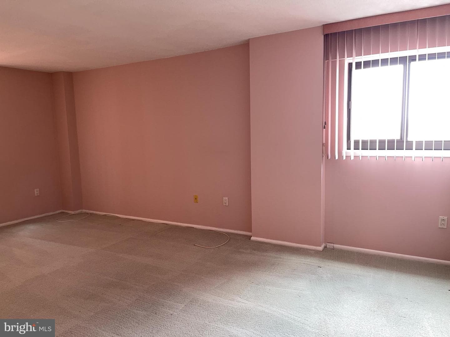 1420 Locust Street #20q photo 4