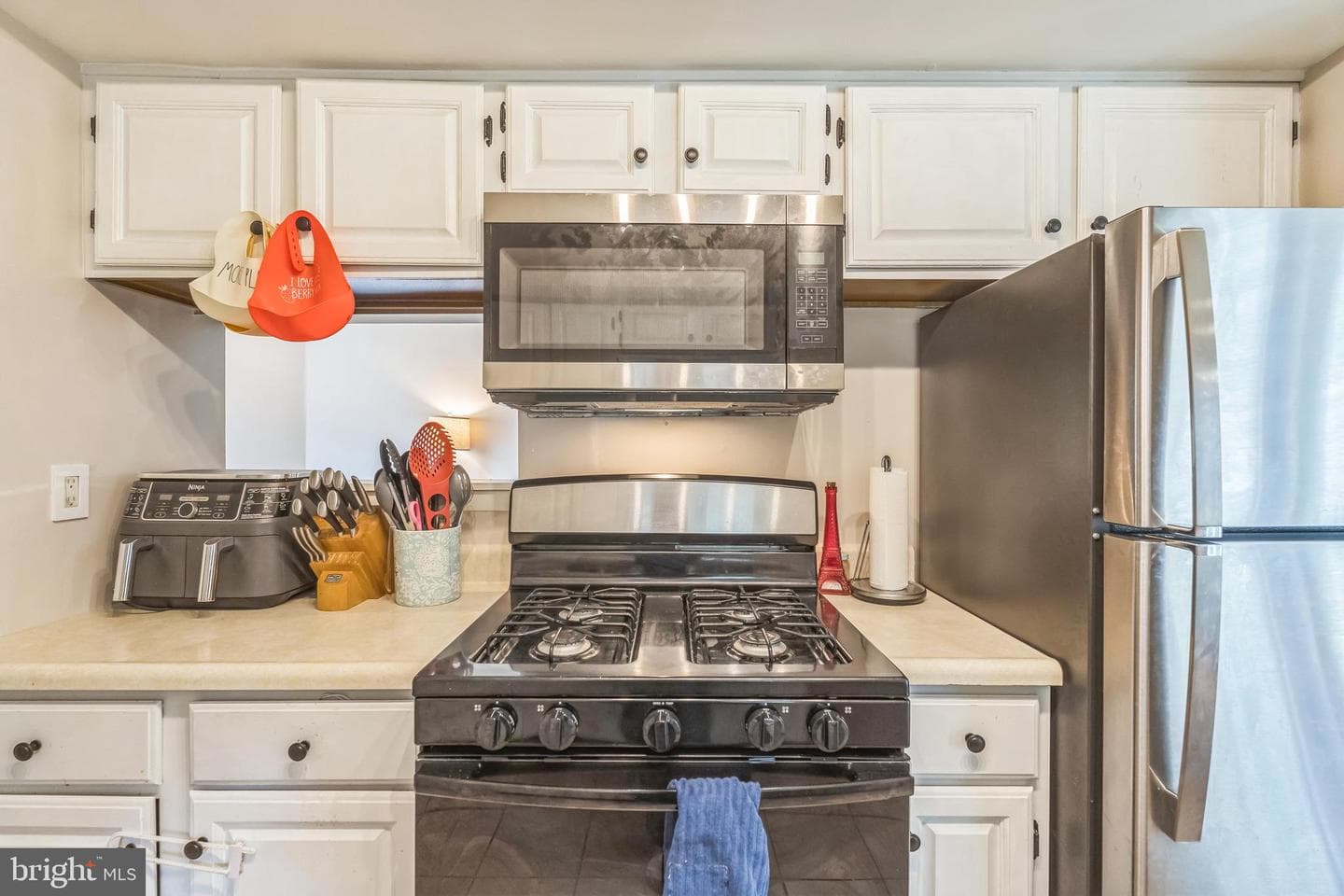 9001 Ridge Avenue #31 photo 10