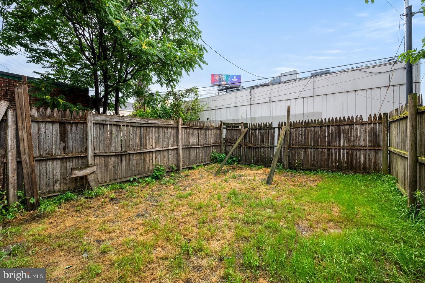 2305 Buckius Street photo 21