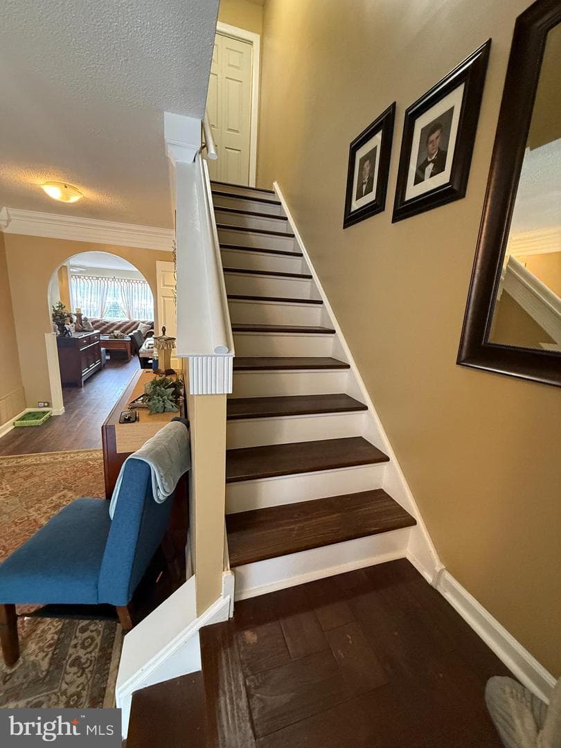 4471 Ernie Davis Circle photo 11