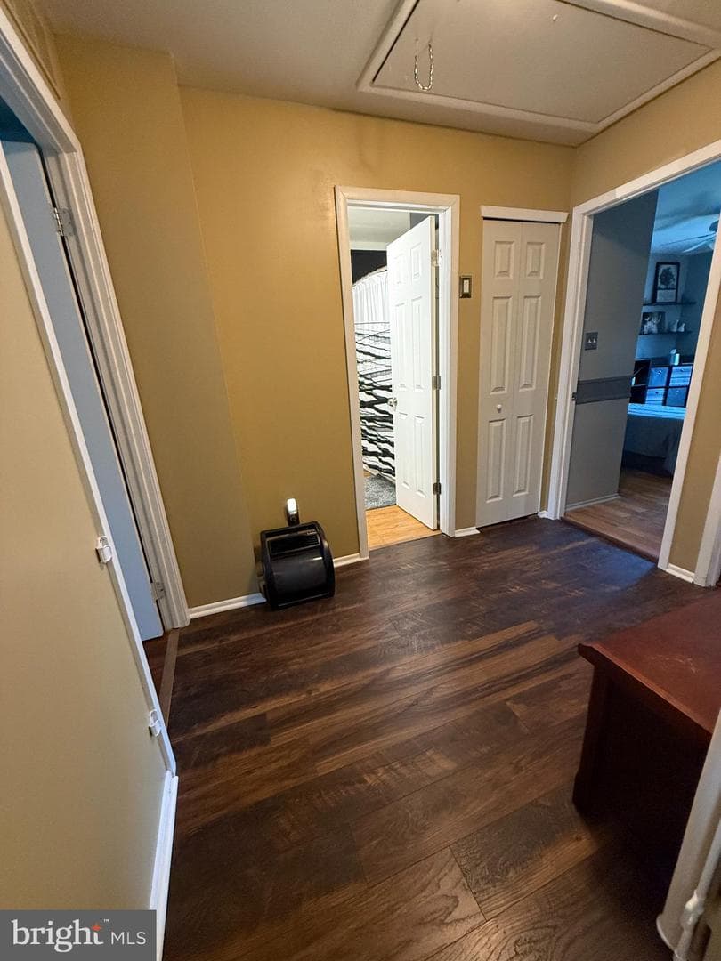 4471 Ernie Davis Circle photo 12