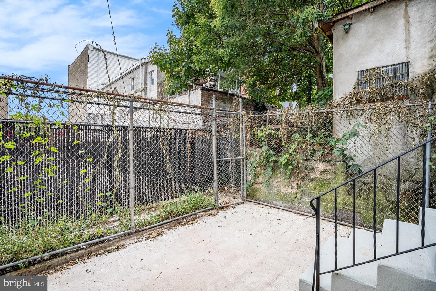4429 Greene Street photo 26
