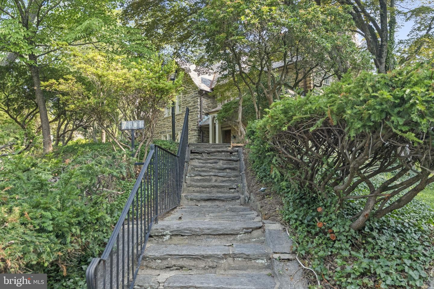 7101 Greene Street photo 12