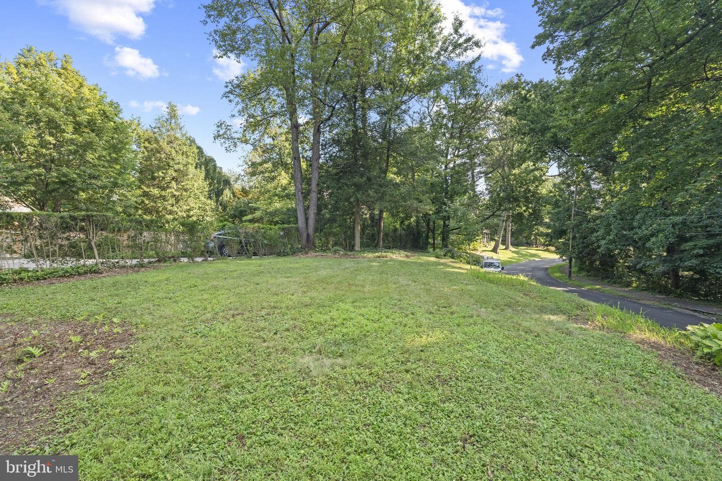 7101 Greene Street photo 46