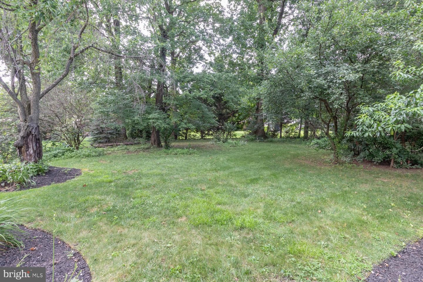 937 Caledonia Street photo 4