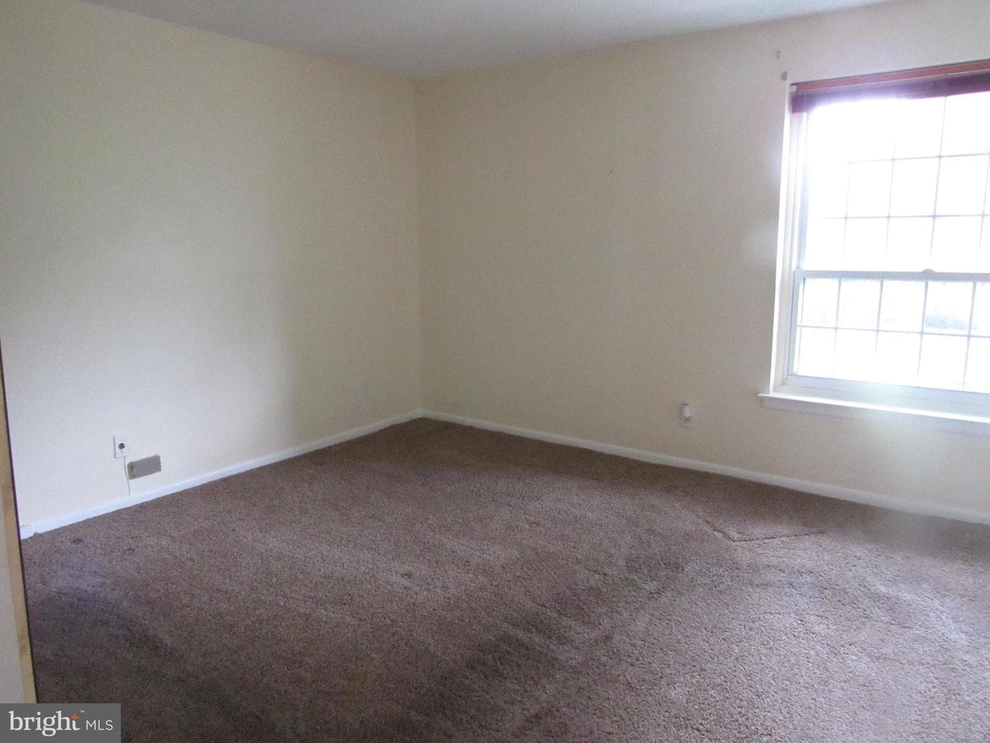 4000 Gypsy Lane #603 F2 photo 29