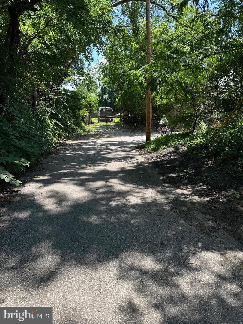 315 Shawmont Avenue #E photo 51