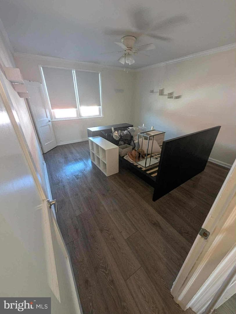 3433 Belgrade Street photo 6