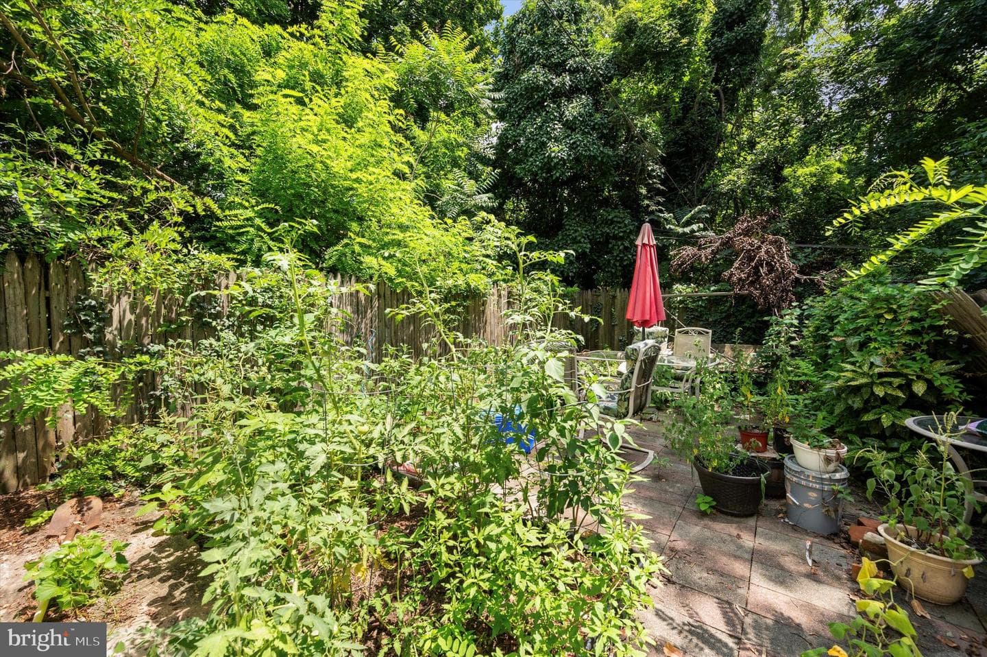 30 W Apsley Street photo 23
