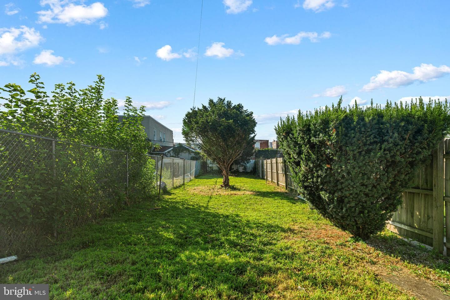4517 Salmon Street photo 16