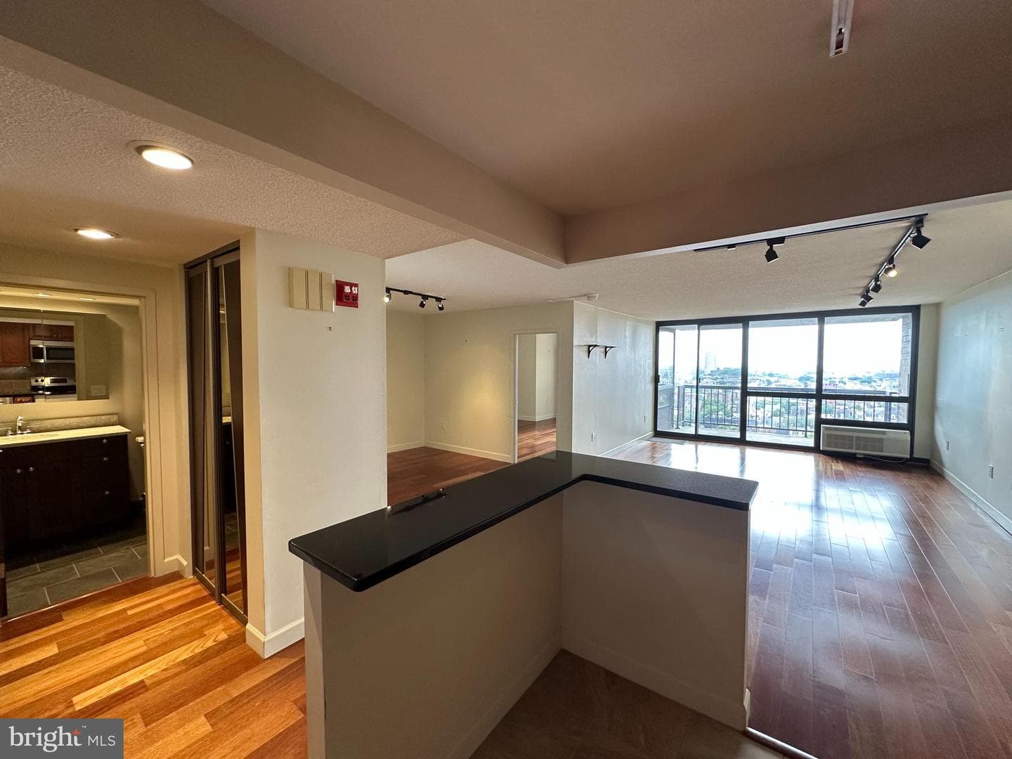 233 S 6th Street #1410f photo 14