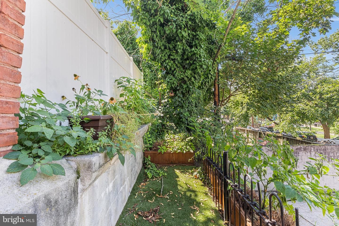 157 Cotton Street photo 22