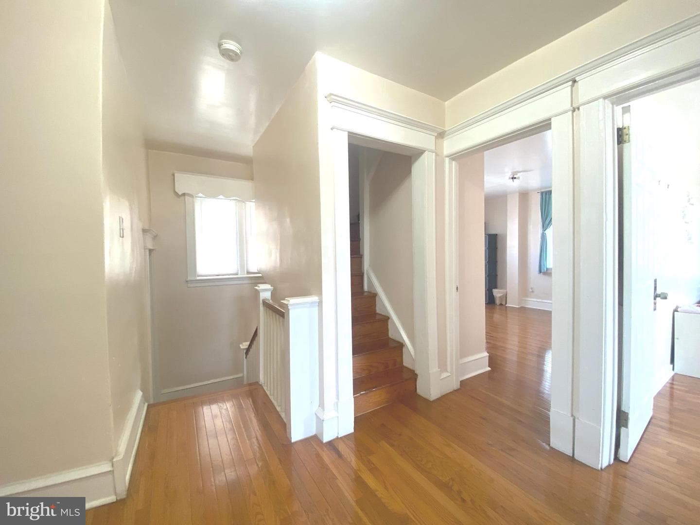 2249 Knorr Street photo 31