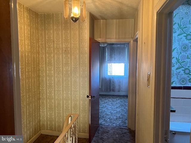 5441 Valley Street photo 9