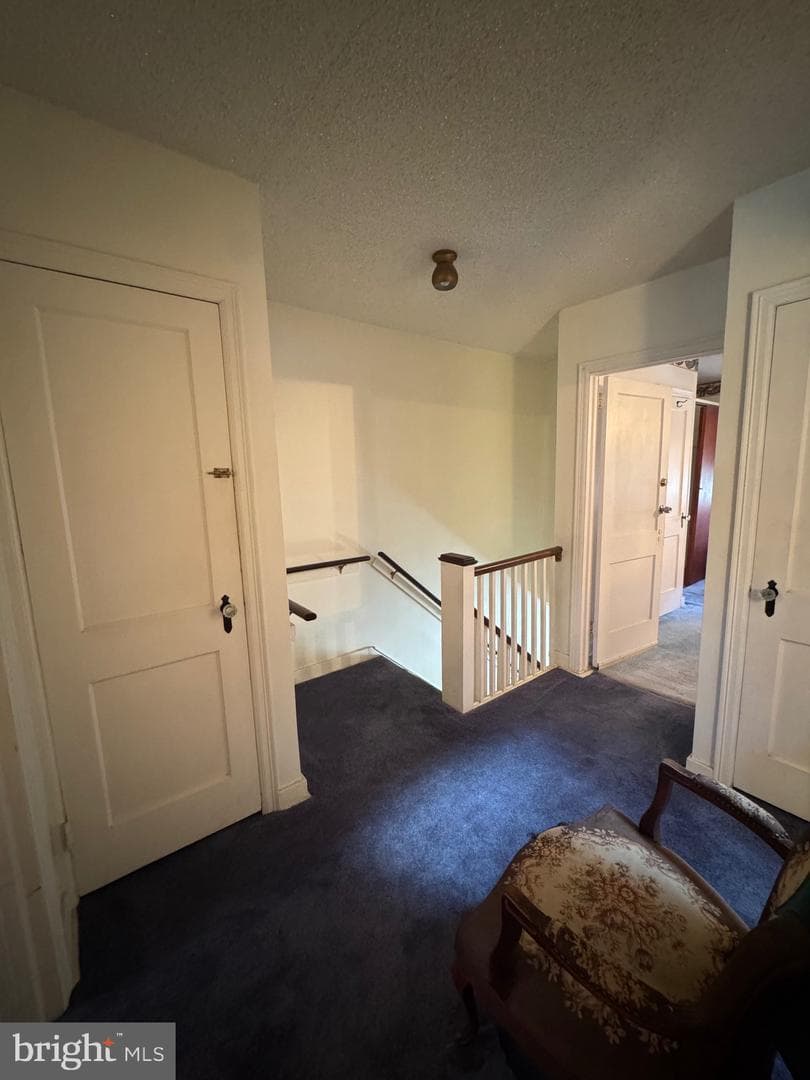 8118 Michener Avenue photo 16