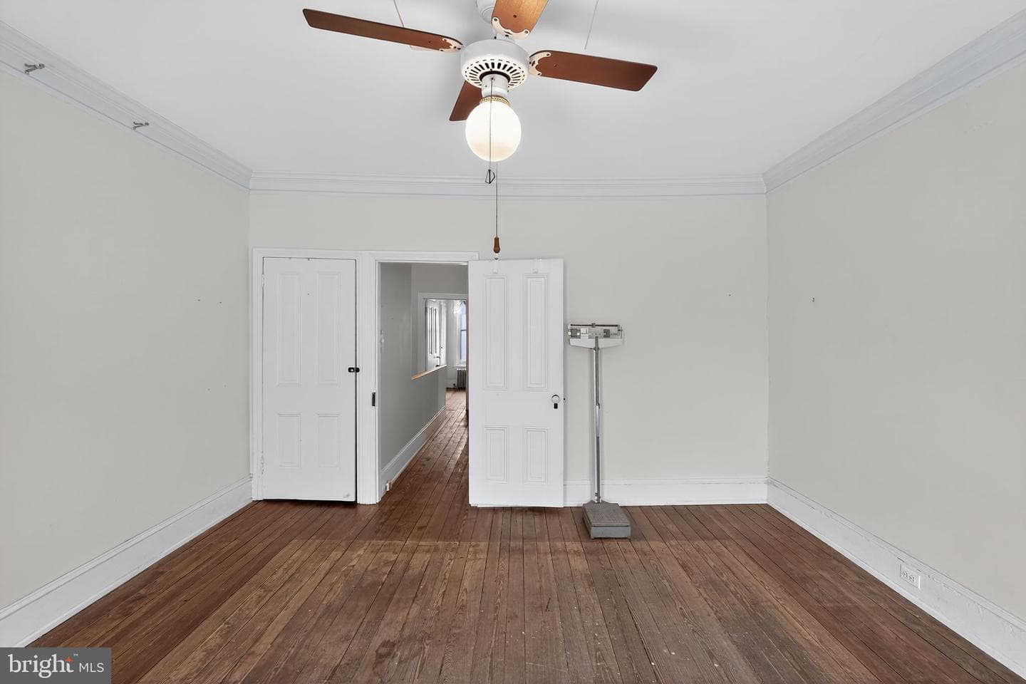 250 Hermitage Street photo 20