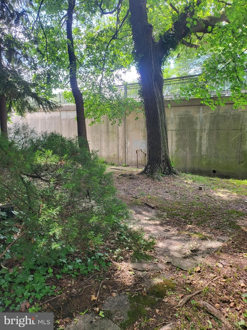 308 E Mount Airy Ave photo 12