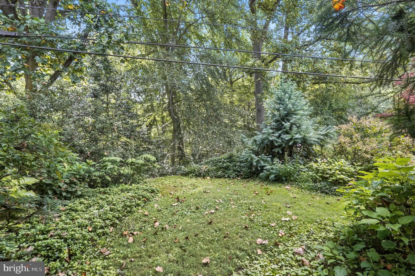 8420 Chippewa Road photo 28