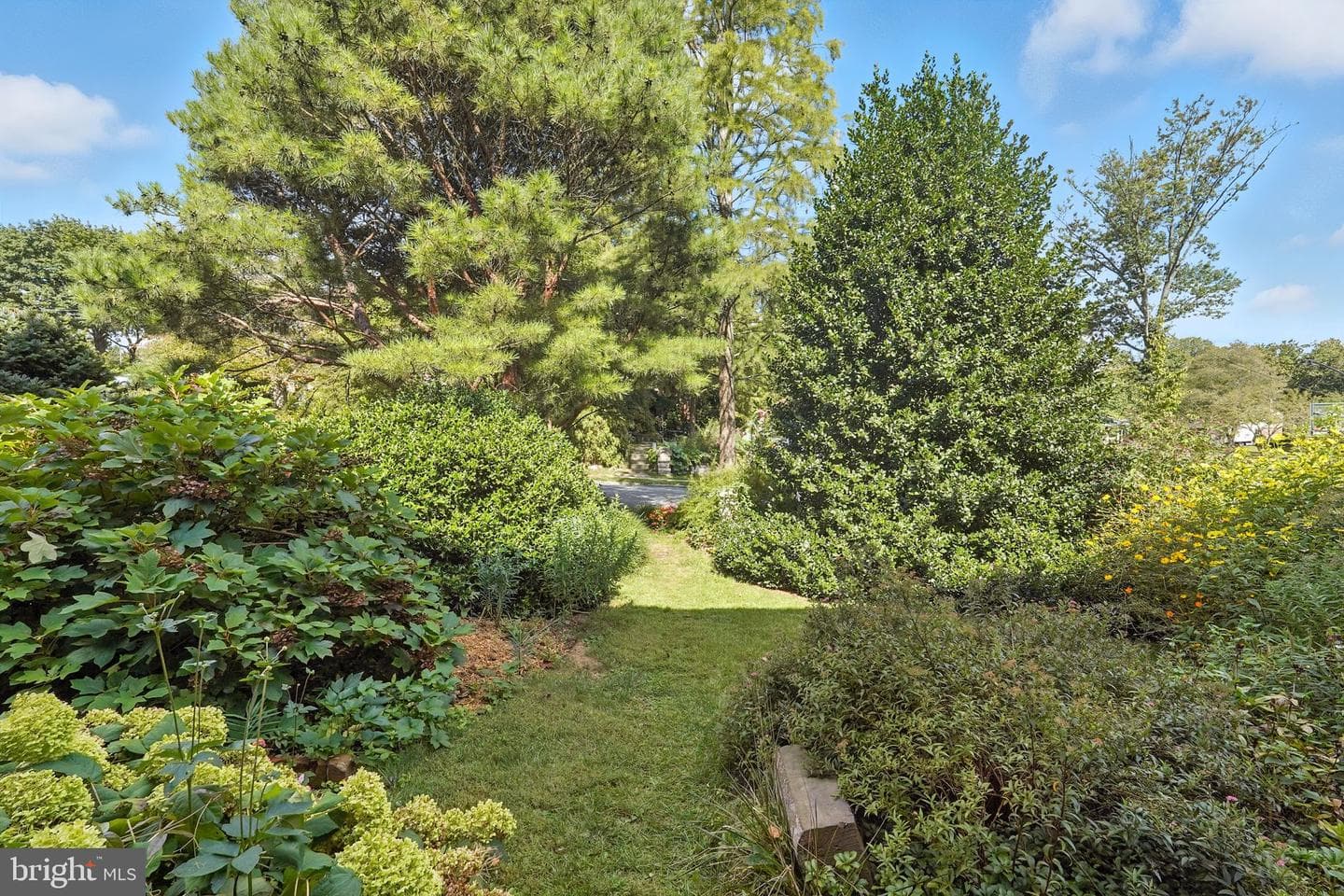 8420 Chippewa Road photo 29