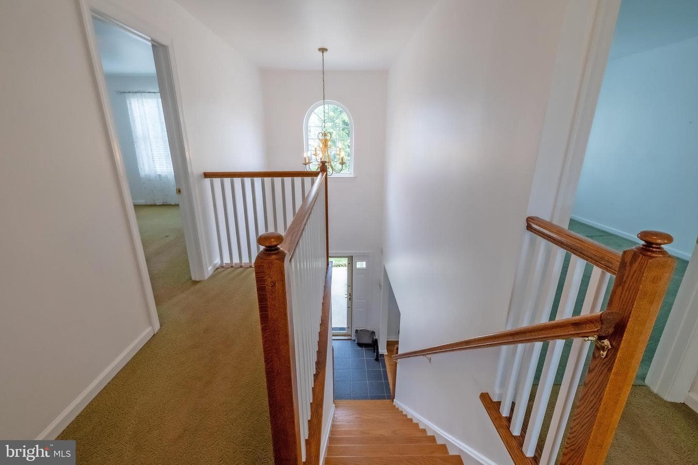 920 Napfle Avenue photo 57