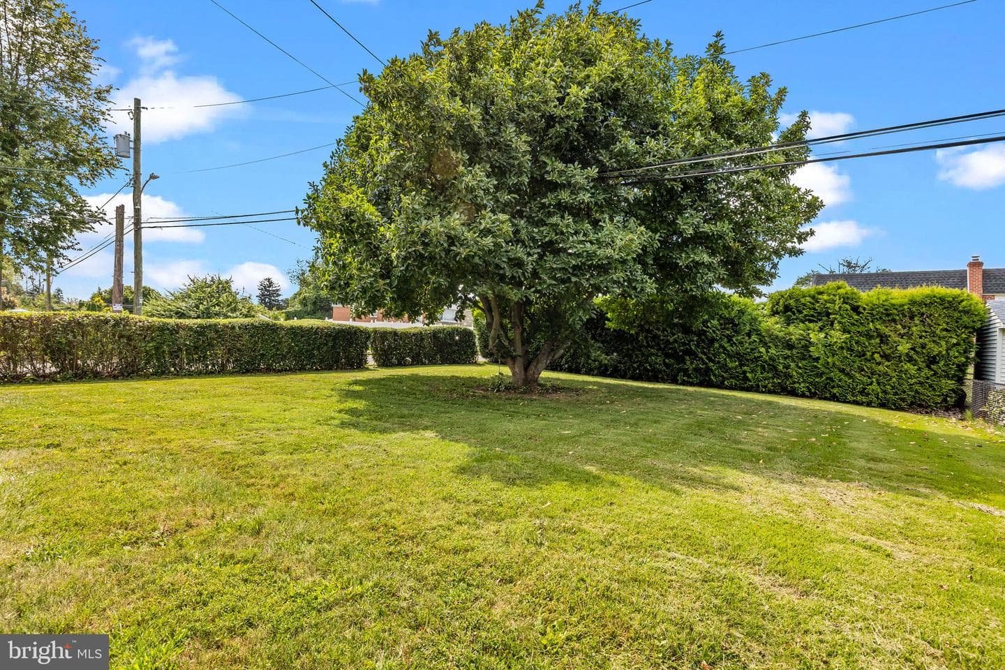 1120 Chesworth Road photo 31