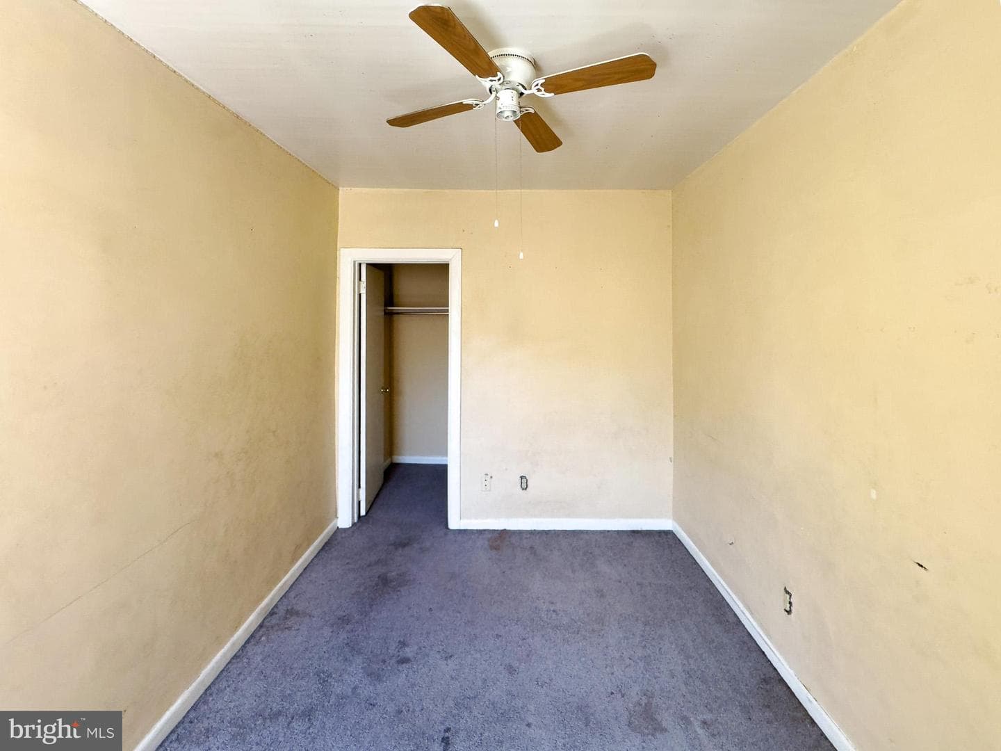 2123 S Mole Street photo 18