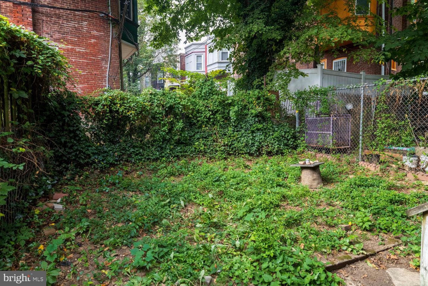 4706 Greene Street photo 21