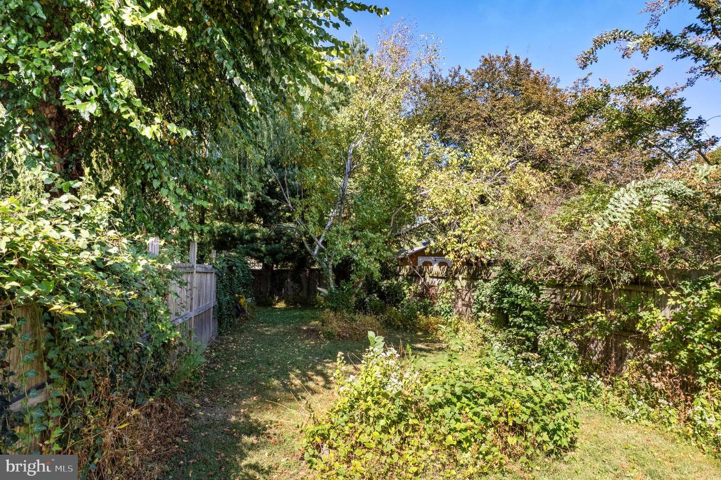 624 W Johnson Street photo 38