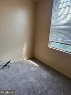 1012 S Colorado Street photo 60