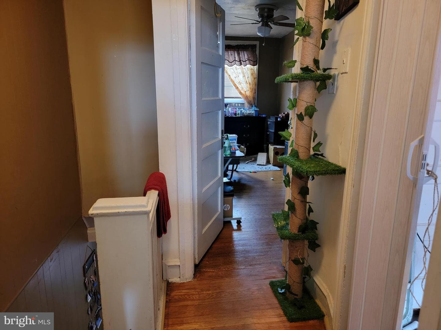 126 Rosemar Street photo 12