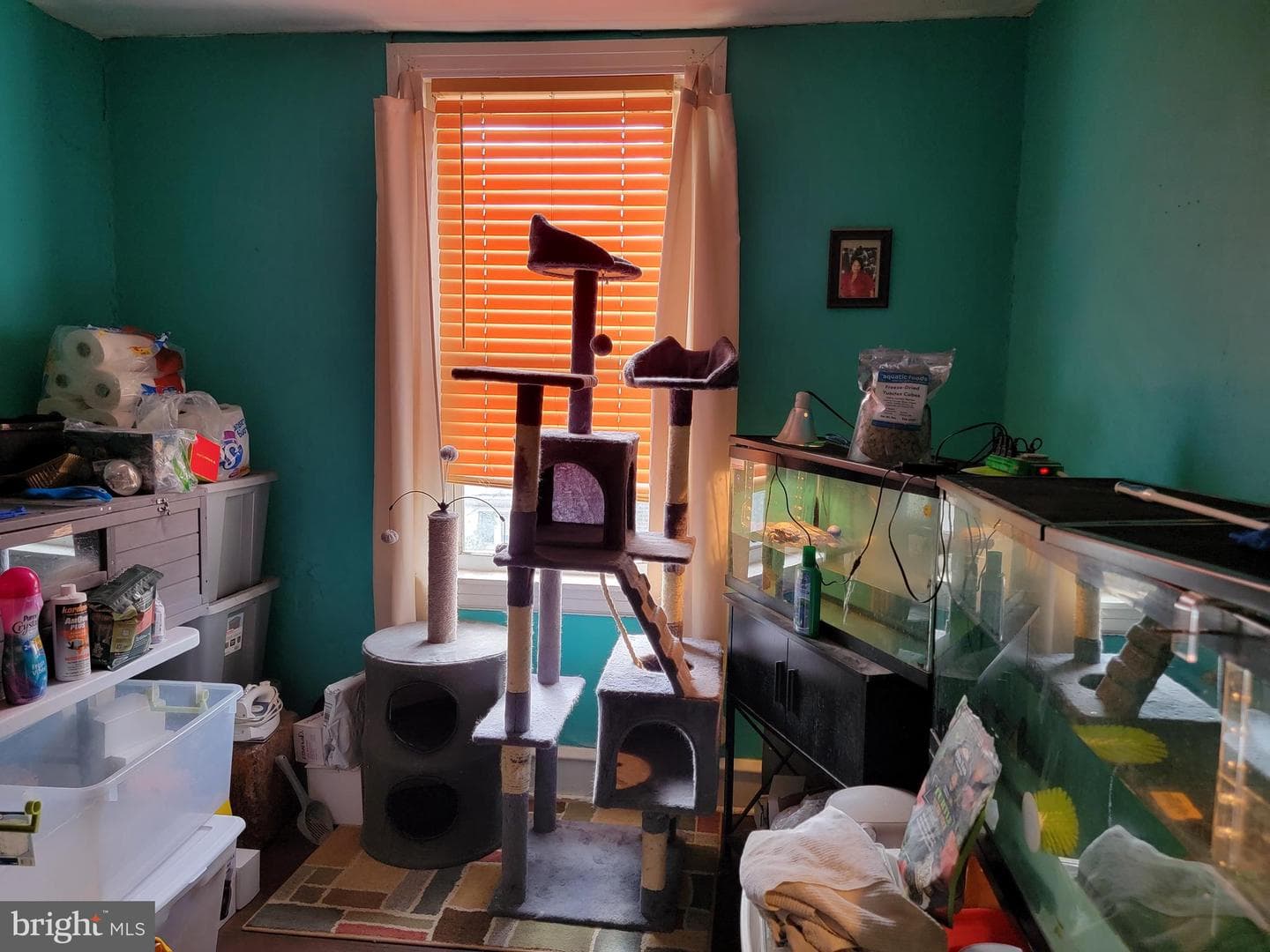 126 Rosemar Street photo 13