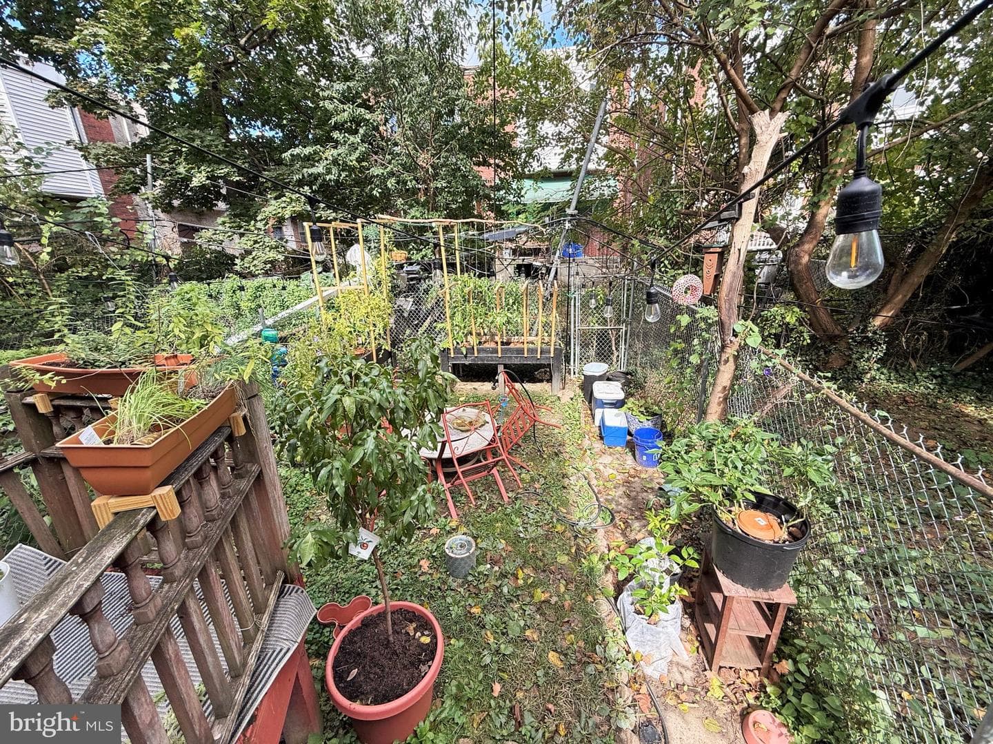5143 Catharine Street photo 17