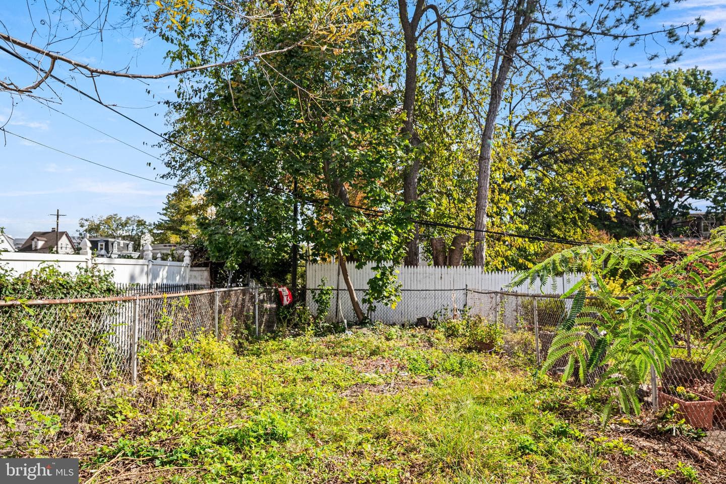 102 W Cliveden Street photo 20