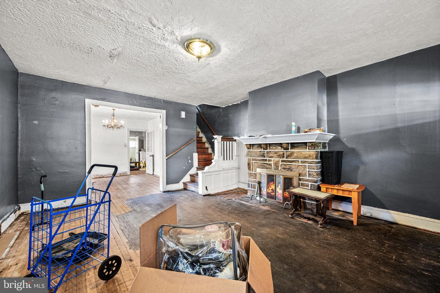 102 W Cliveden Street photo 4