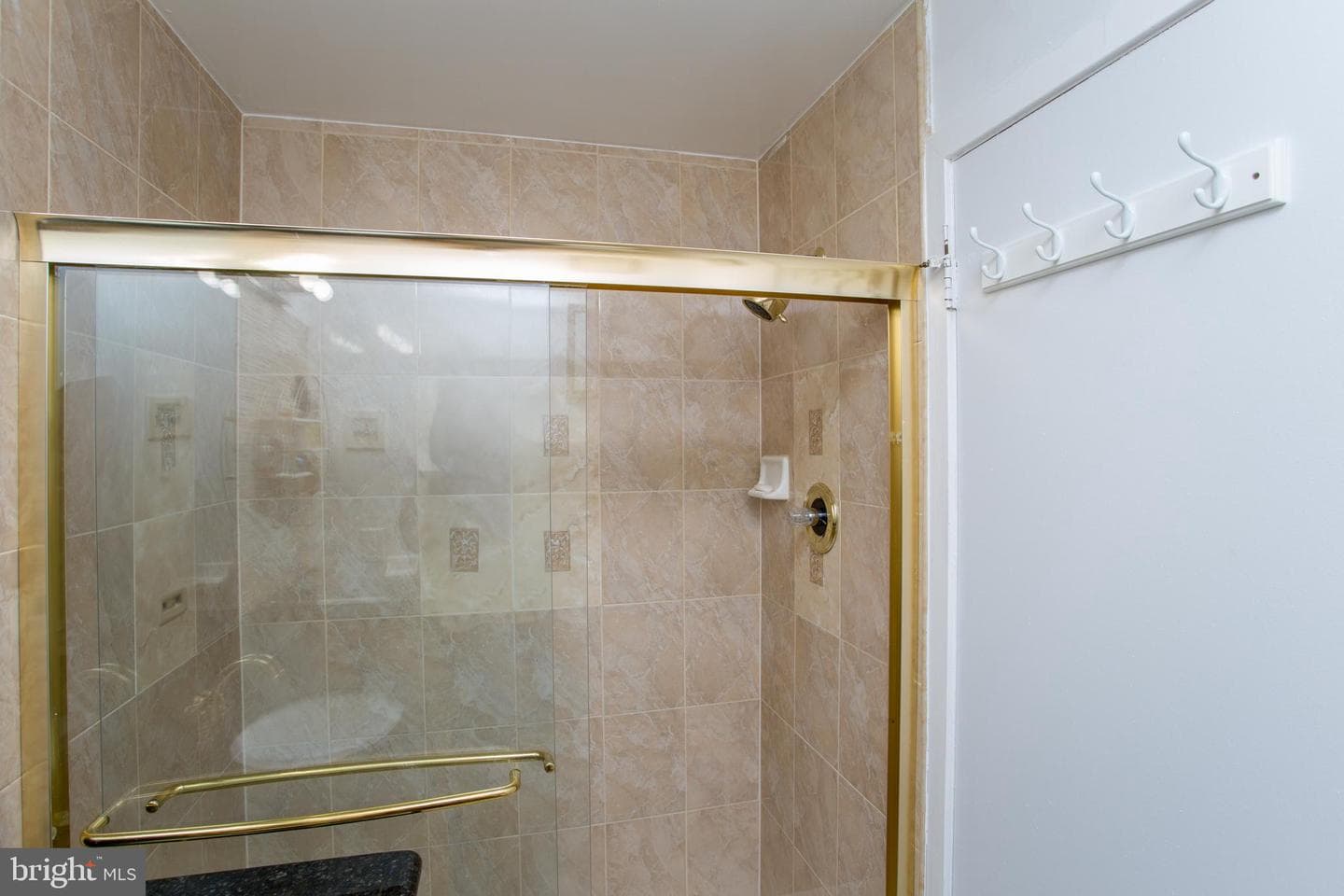 48 Bonnie Gellman Court #b48 photo 40