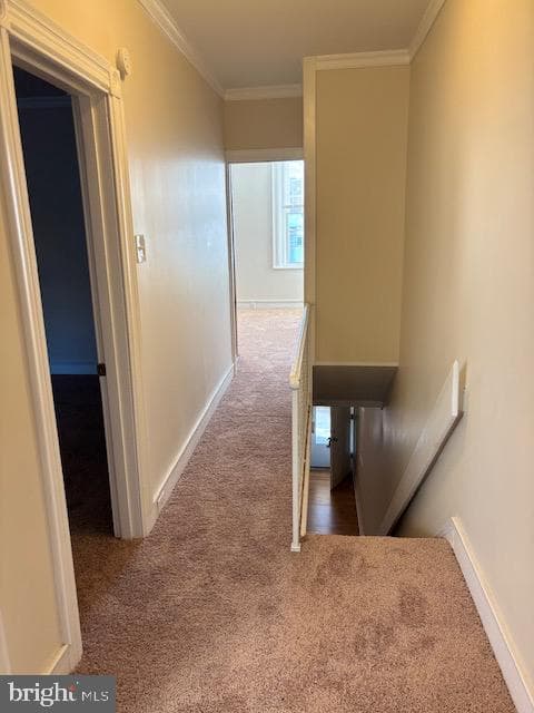 513 N 64th Street photo 8
