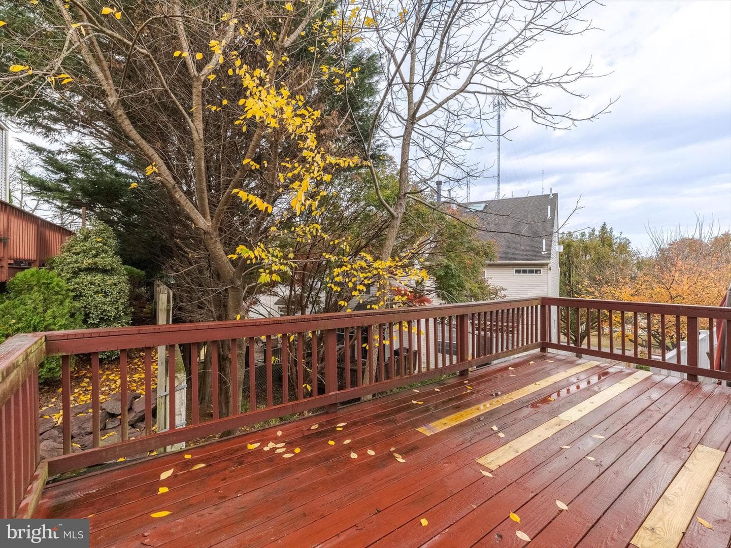 6710 Cinnamon Drive photo 35