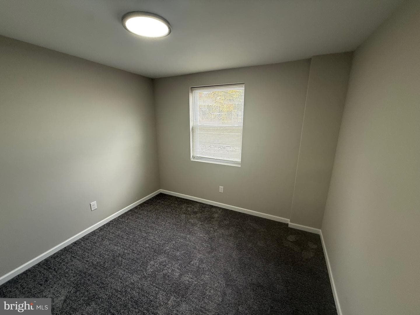 534 E Walnut Lane photo 7