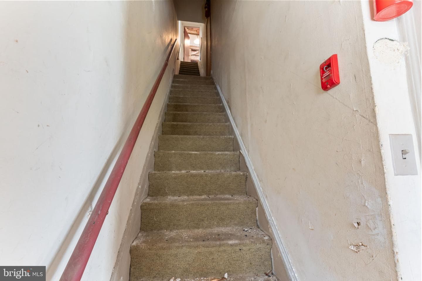4937 Rubicam Street photo 30