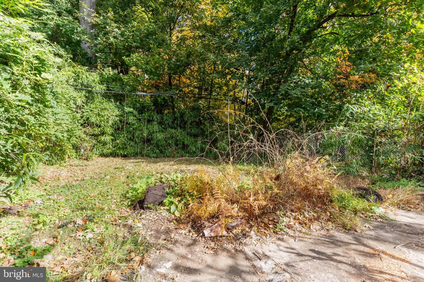 4937 Rubicam Street photo 34