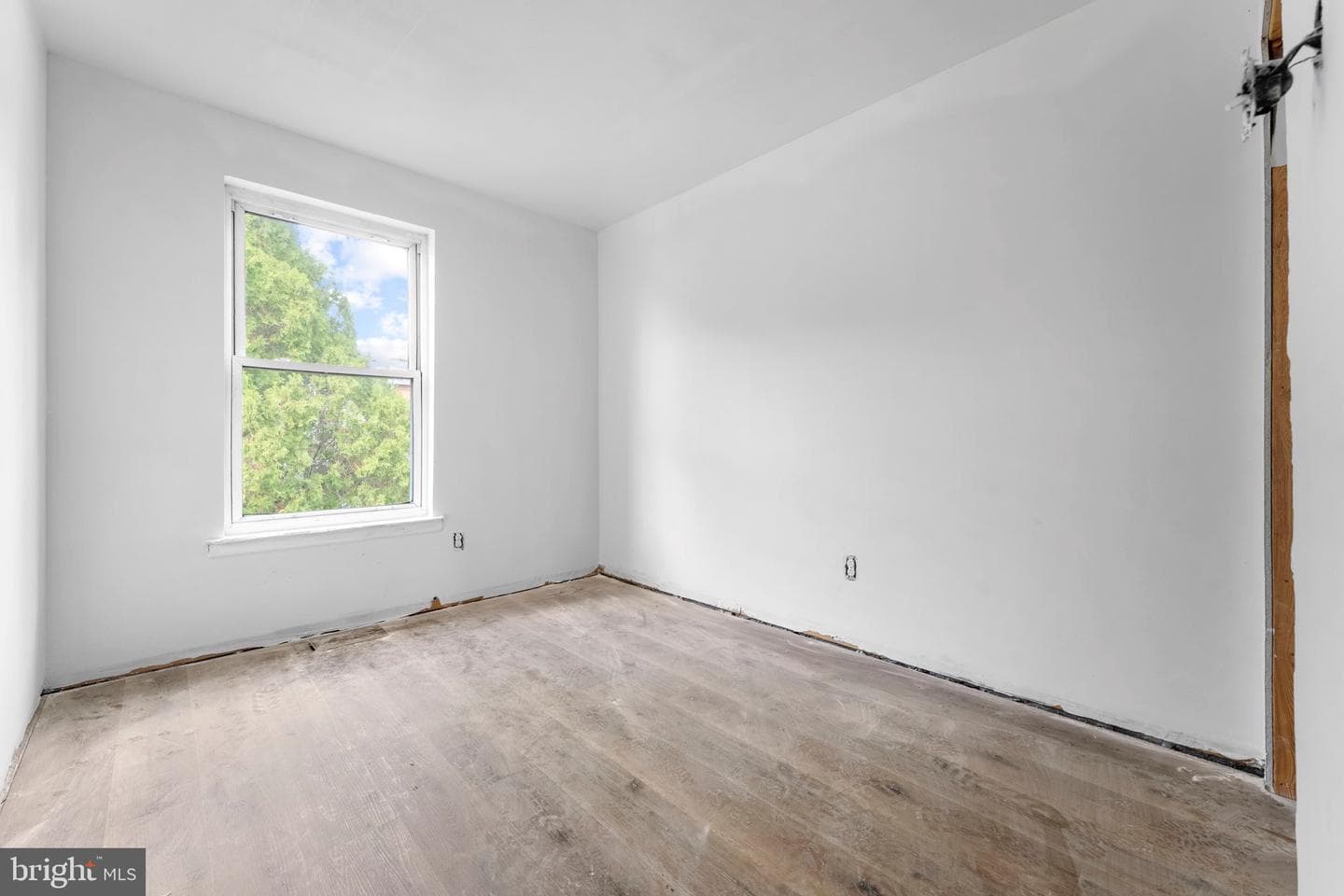 7713 Jason Place photo 28