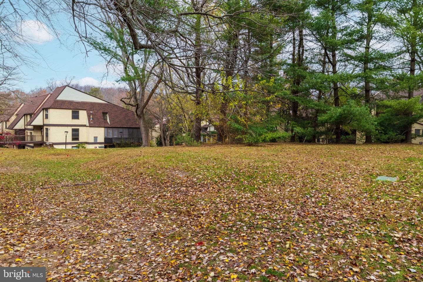 427 Shawmont Avenue #c photo 28
