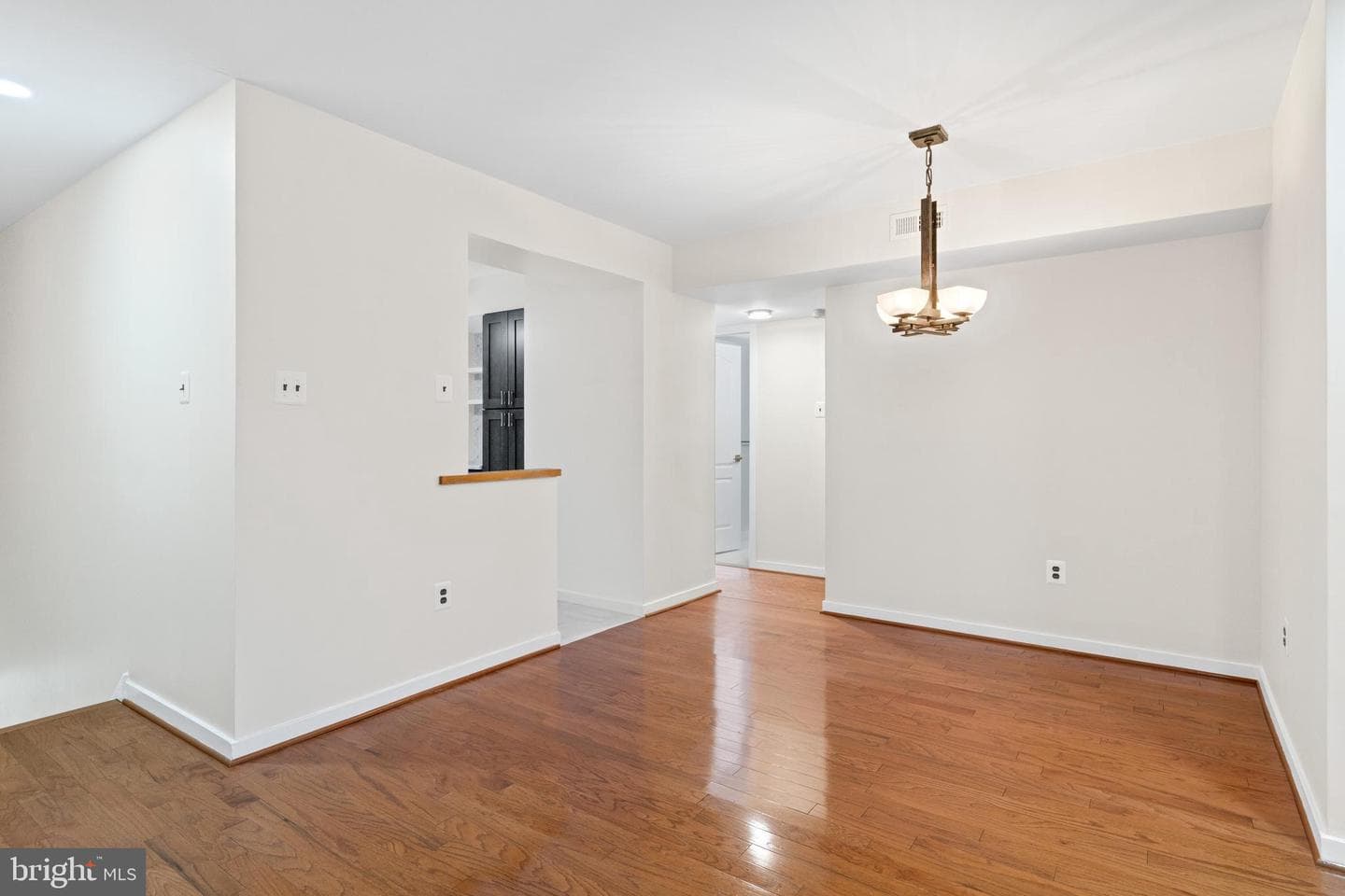 427 Shawmont Avenue #c photo 4