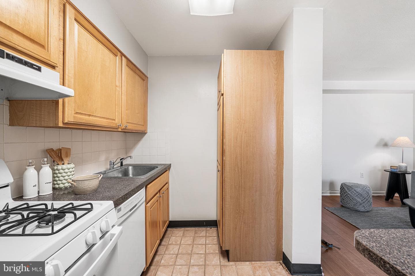 604 S Washington Sq # 2606 photo 19