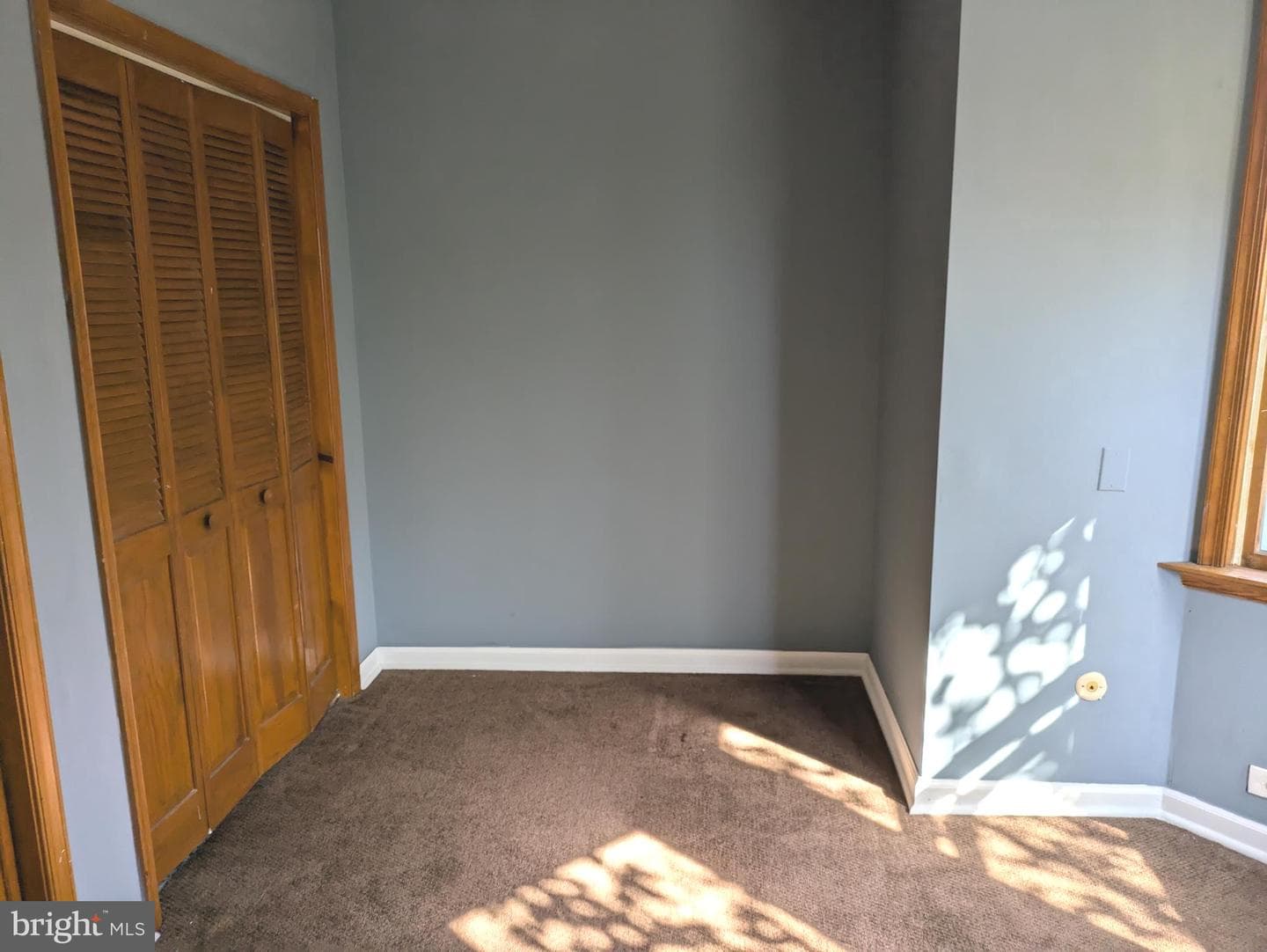 4517 Comly Street photo 18