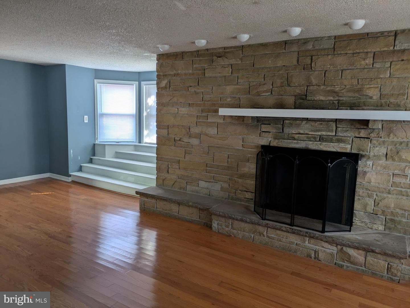 4517 Comly Street photo 5