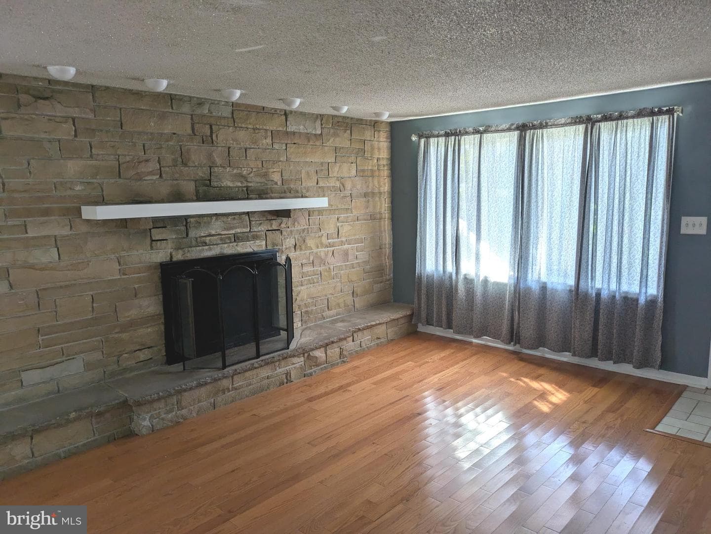 4517 Comly Street photo 6