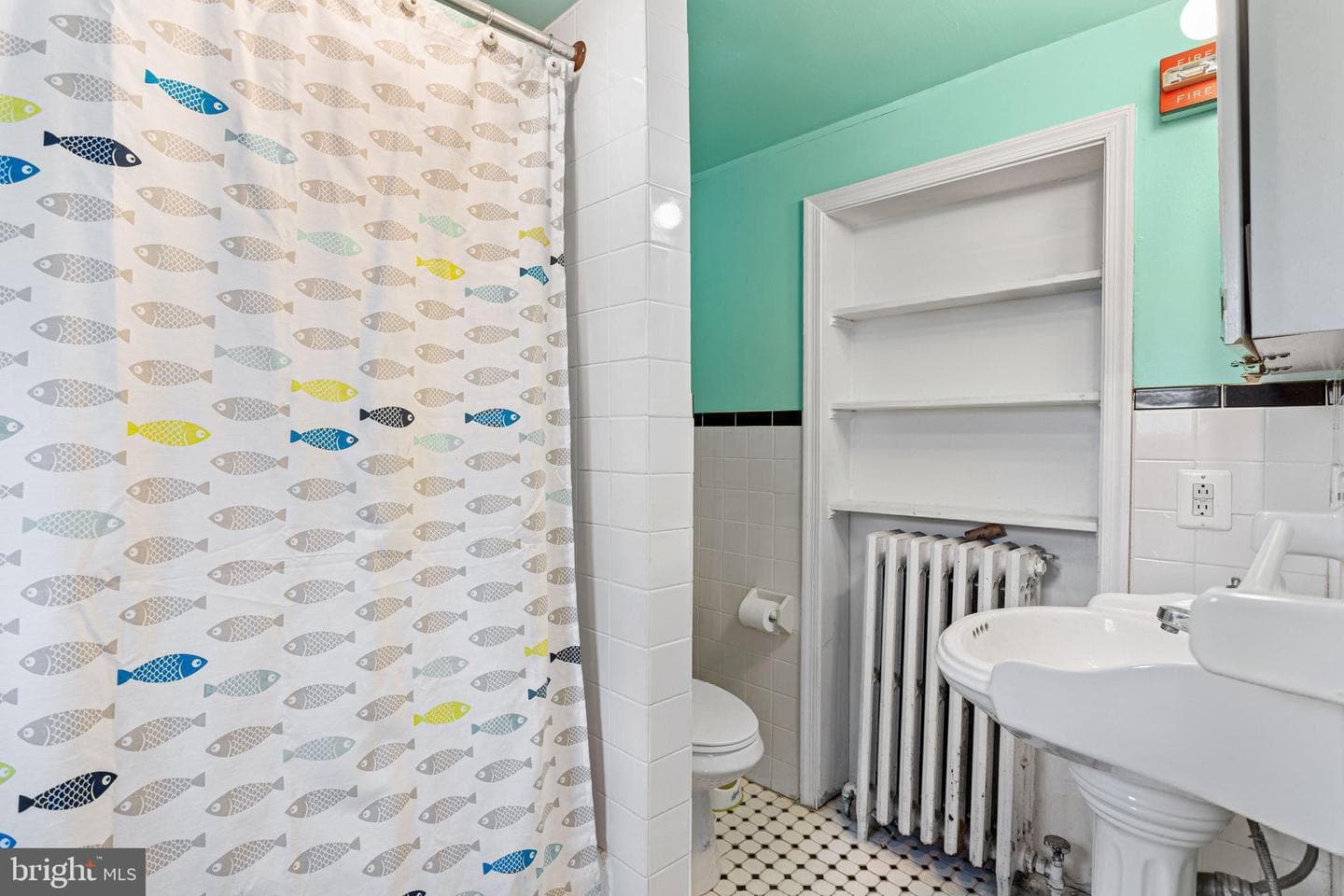 4316 Pine Street photo 18