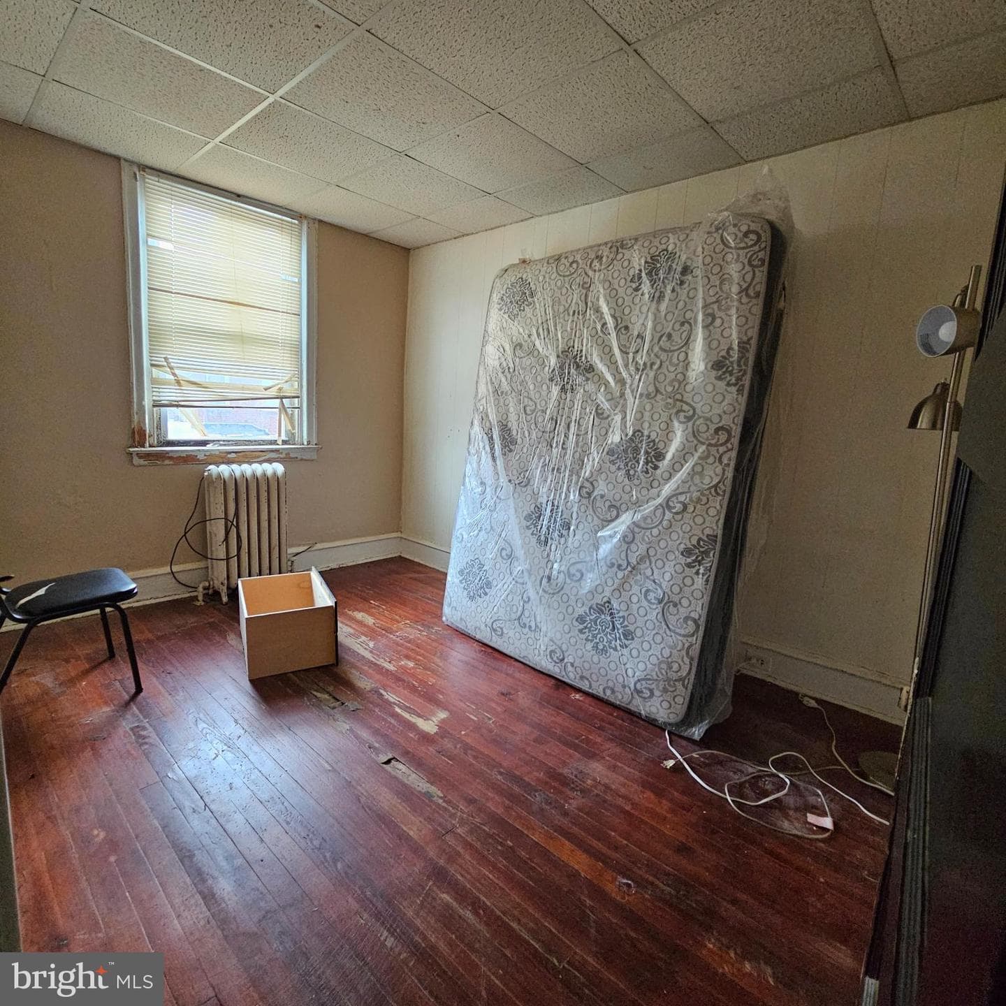 144 Fern Street photo 11