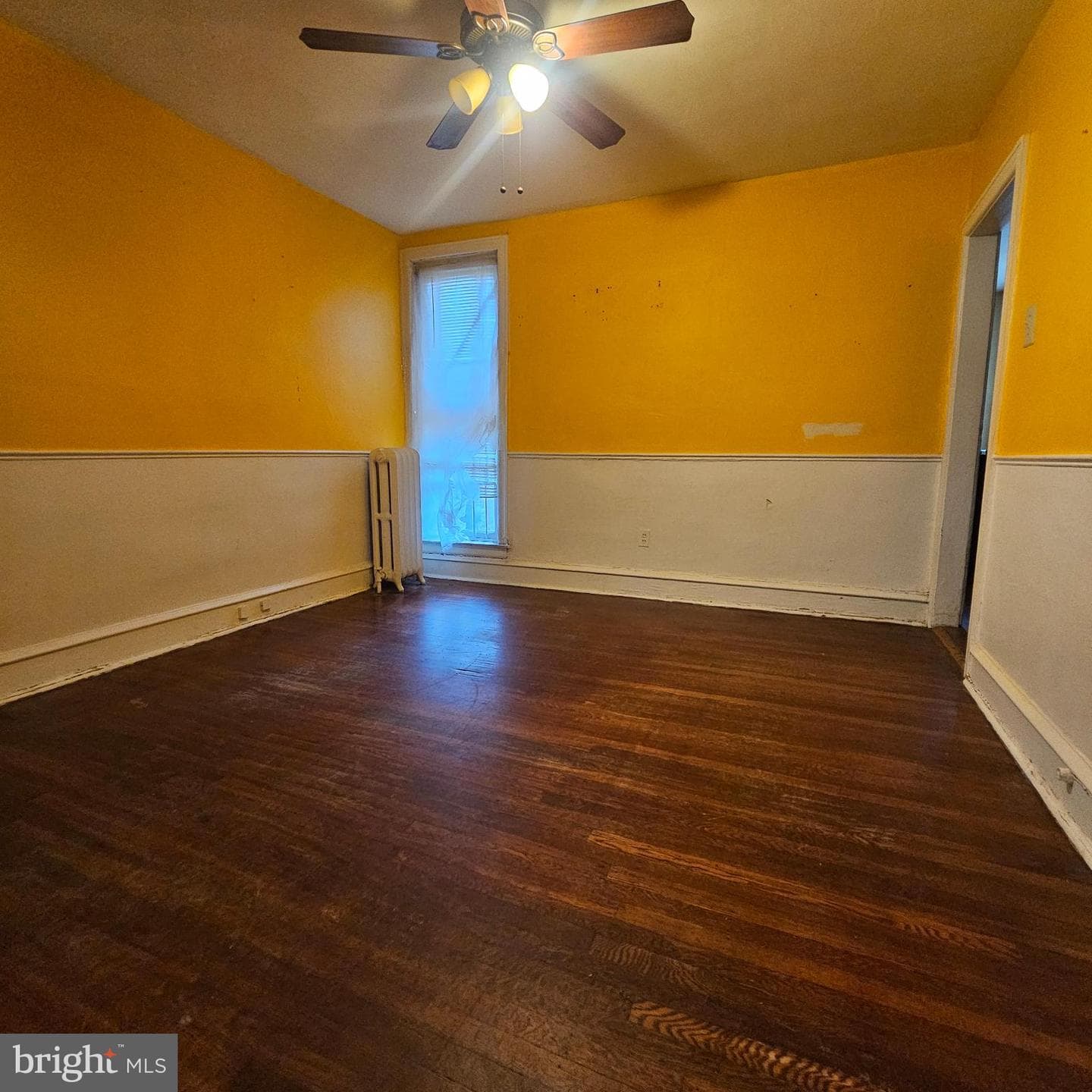 144 Fern Street photo 3